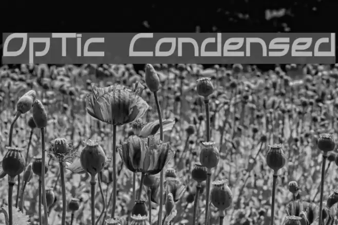 OpTic Condensed Font examples