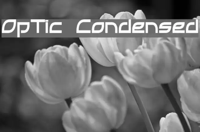 OpTic Condensed Font examples