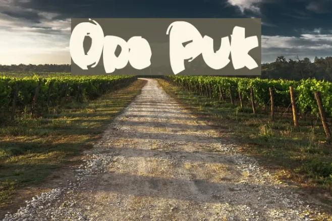 Opa Puk Example 1