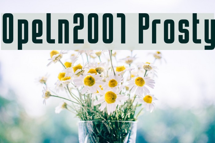 Opeln2001 Prosty Font examples