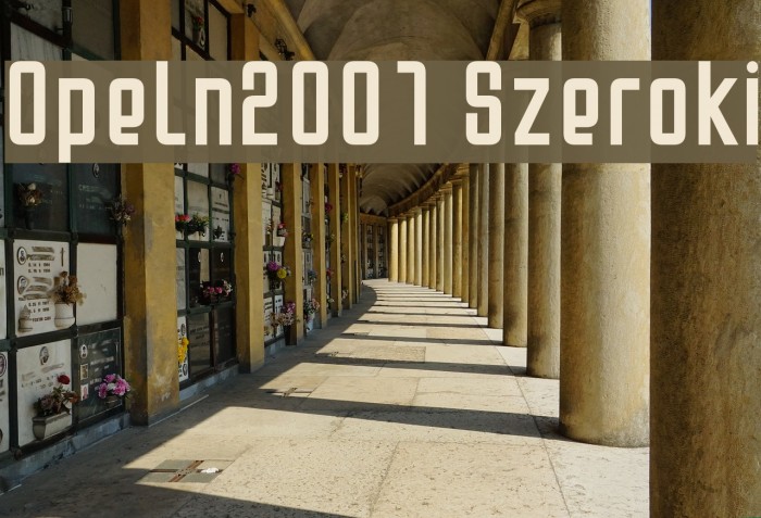 Opeln2001 Szeroki Font examples