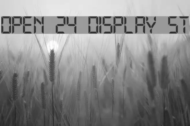 Open 24 Display St フォント examples