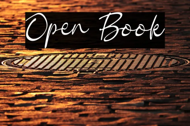 Open Book Example 3