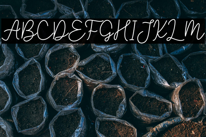 Open  Heart Example 1