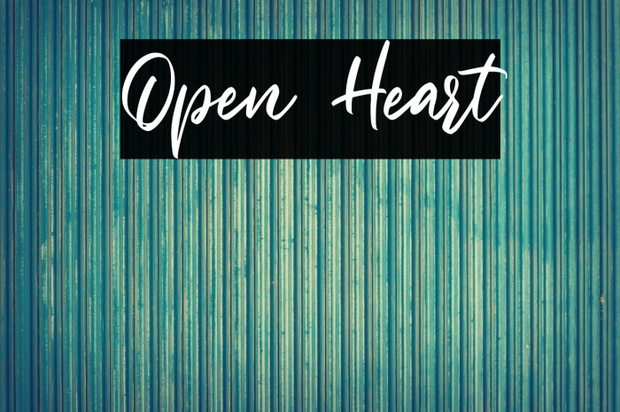 Open Heart Example 1