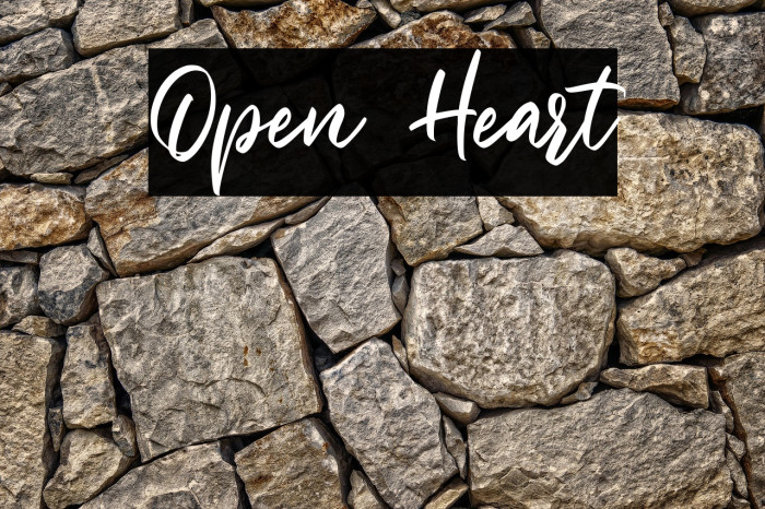 Open Heart Example 2