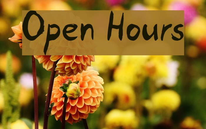 Open Hours Font examples