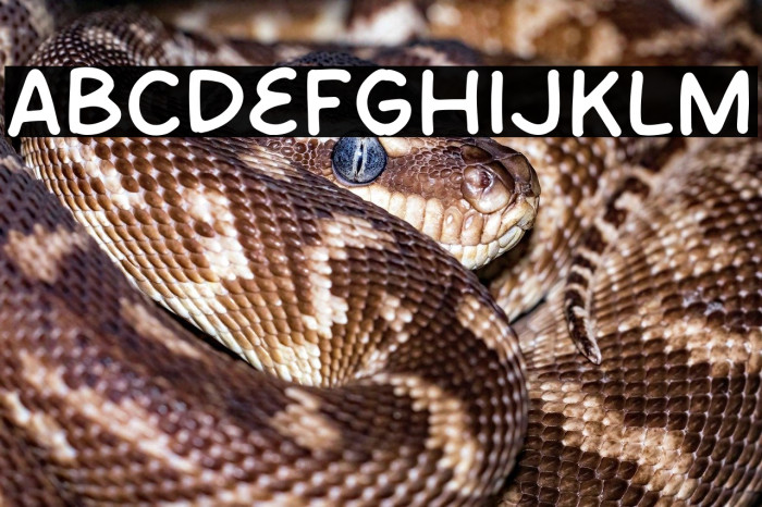 Open Market Example 3