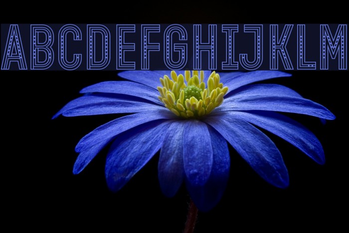 Open Minded Inside Font examples