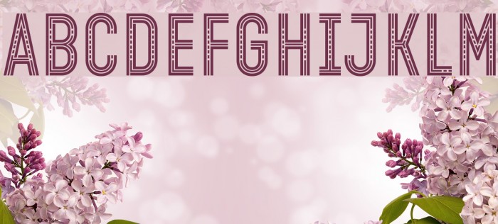 Open Minded Font examples