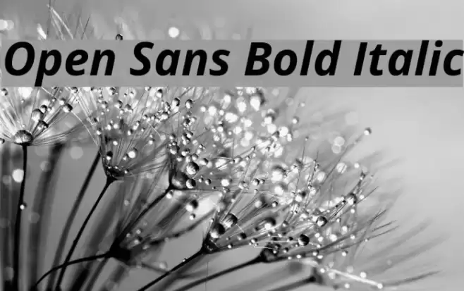 Open Sans Bold Italic Font examples