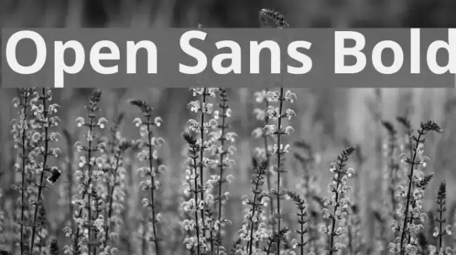 Open Sans Bold Font examples