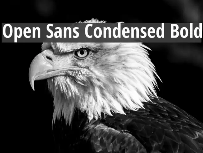 Open Sans Condensed Bold Font examples