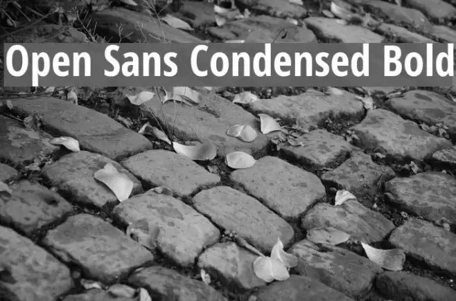 Open Sans Condensed Bold Font examples
