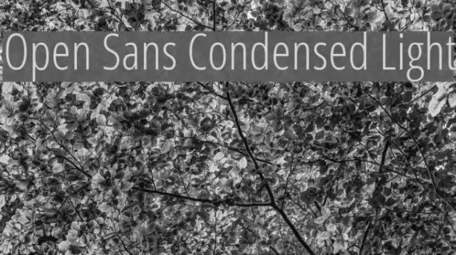 Open Sans Condensed Light examples