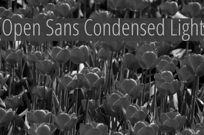 Open Sans Condensed Light examples