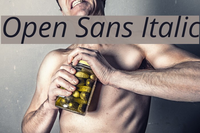 Open Sans Italic Font examples