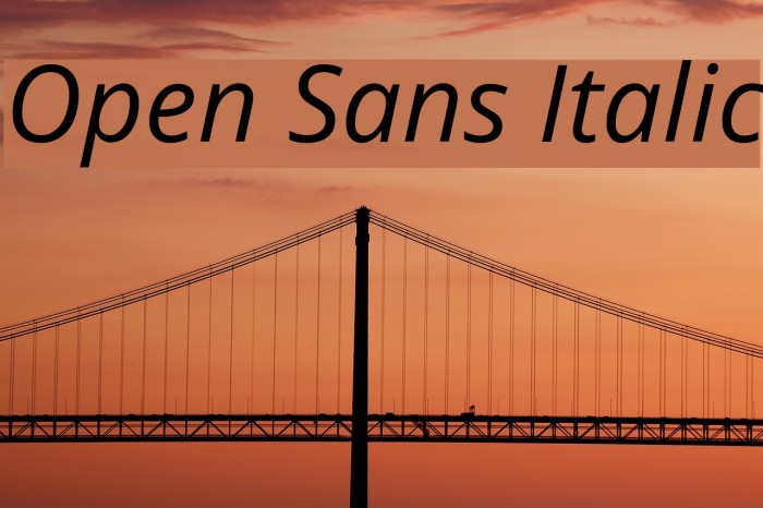Open Sans Italic Font examples