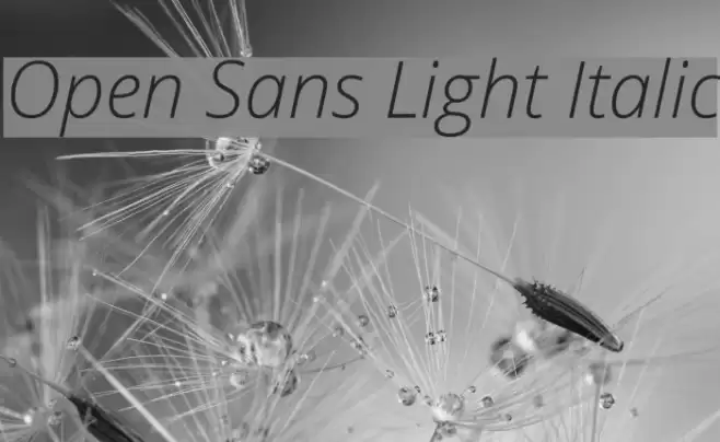 Open Sans Light Italic Font examples
