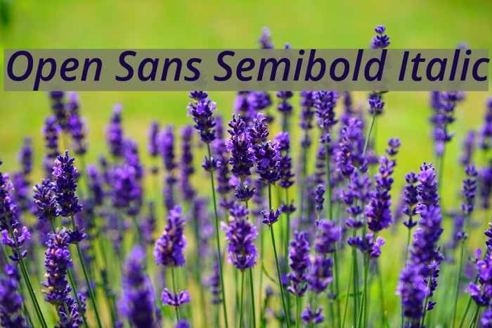 Open Sans Semibold Italic Font examples