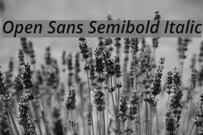 Open Sans Semibold Italic Font examples