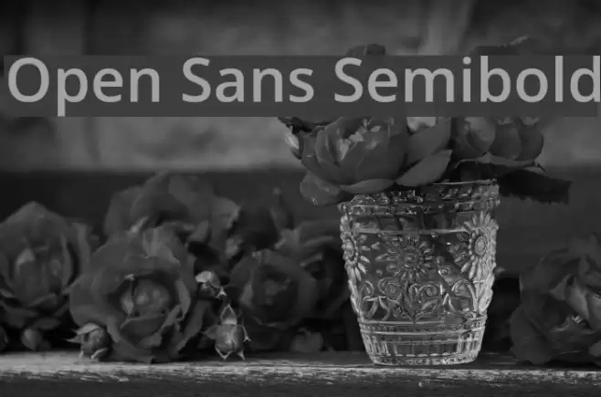 Open Sans Semibold Font examples