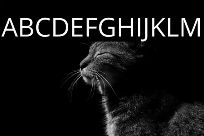 Open Sans Font examples