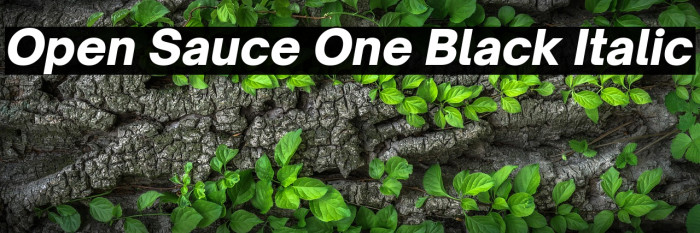 Open Sauce One Black Italic Example 2