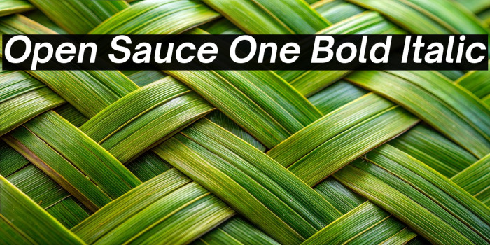 Open Sauce One Bold Italic Example 2