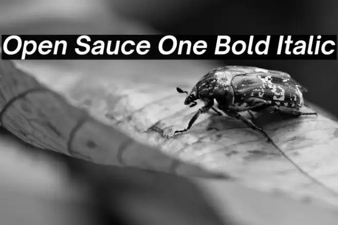 Open Sauce One Bold Italic Font examples