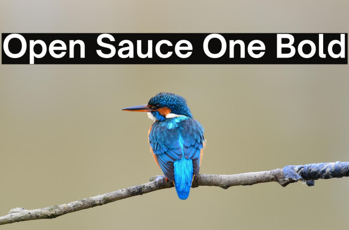 Open Sauce One Bold Example 1