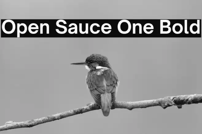 Open Sauce One Bold Font examples