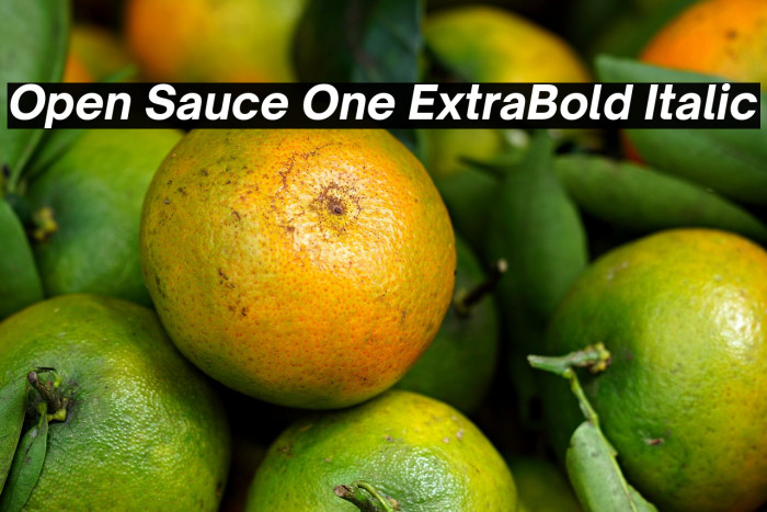 Open Sauce One ExtraBold Italic Example 3
