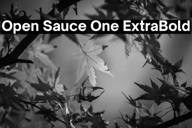 Open Sauce One ExtraBold Font examples