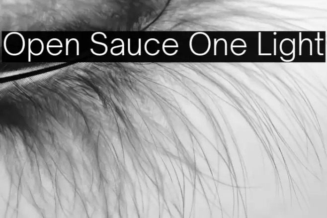 Open Sauce One Light Font examples
