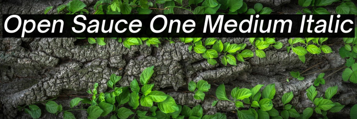 Open Sauce One Medium Italic Example 3