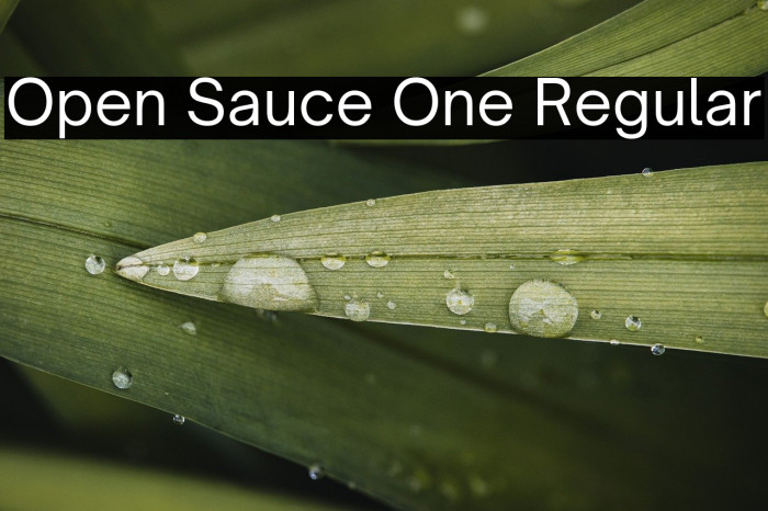 Open Sauce One Regular Example 2