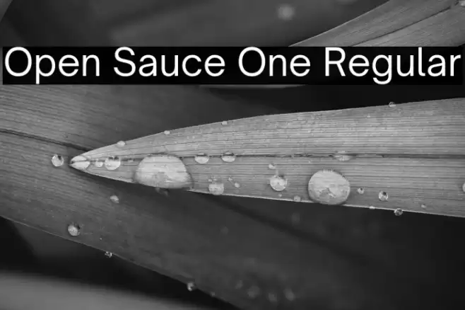 Open Sauce One Regular Font examples