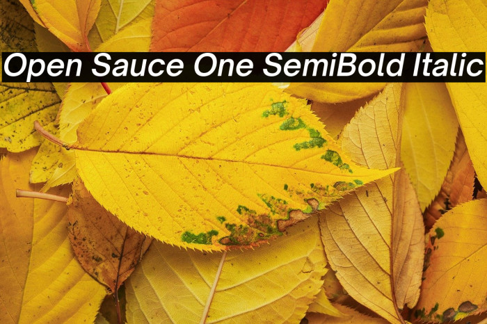 Open Sauce One SemiBold Italic Example 3