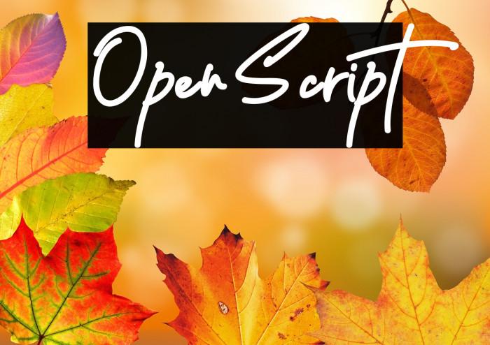 Open Script Example 1