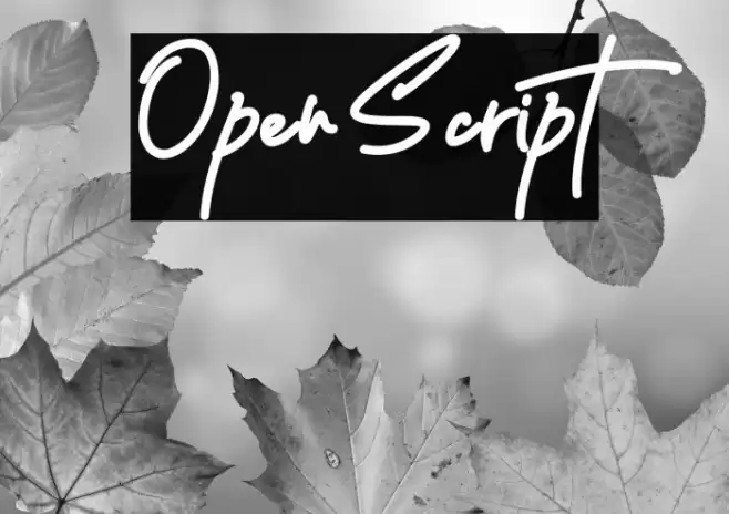 Open Script Font examples