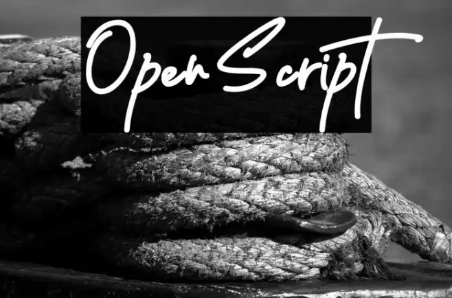 Open Script Font examples
