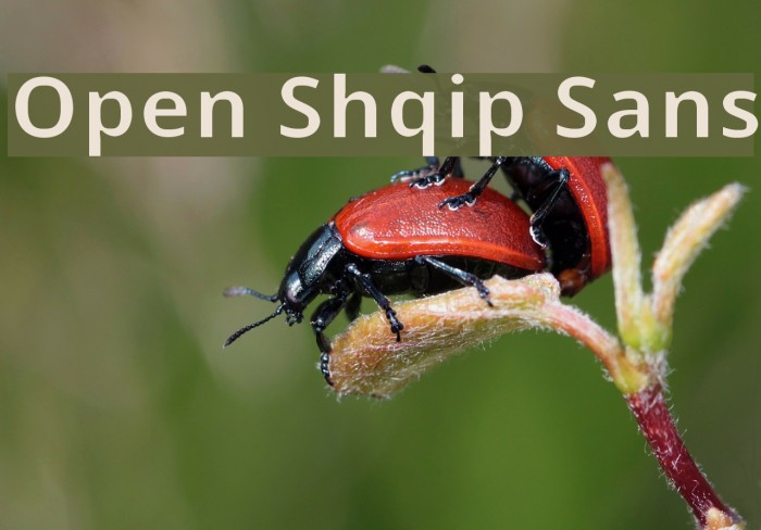 Open Shqip Sans Font examples