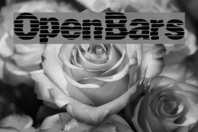 OpenBars Font examples