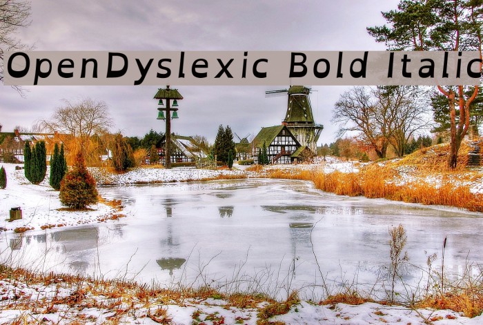 OpenDyslexic Bold Italic Font examples
