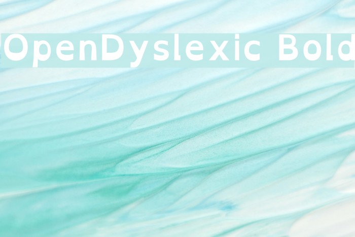 OpenDyslexic Bold Font examples