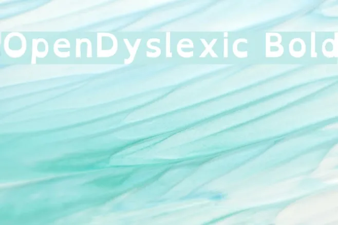OpenDyslexic Bold Example 1