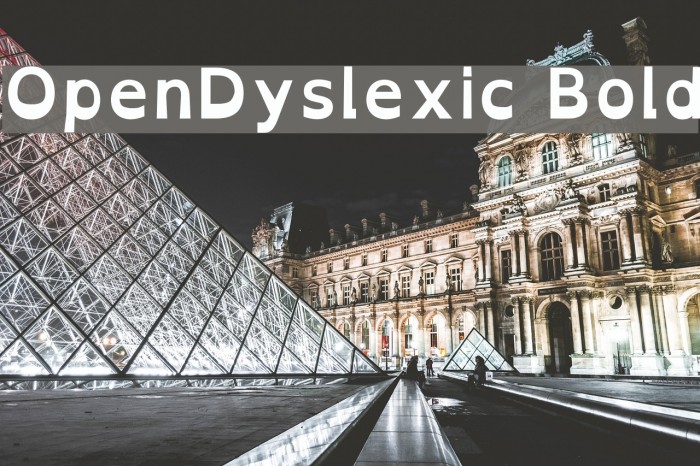 OpenDyslexic Bold Font examples