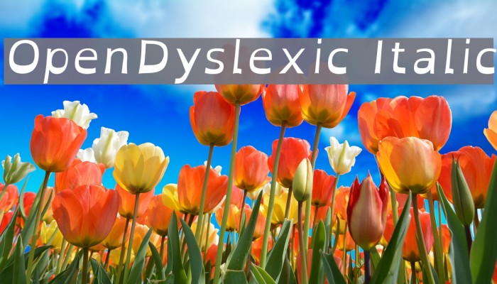 OpenDyslexic Italic Fonte examples