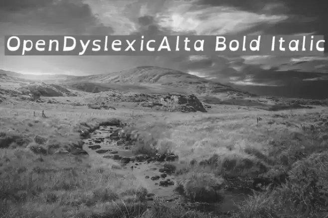 OpenDyslexicAlta Bold Italic Fonte examples